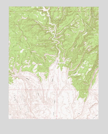East of the Navajo, UT USGS Topographic Map