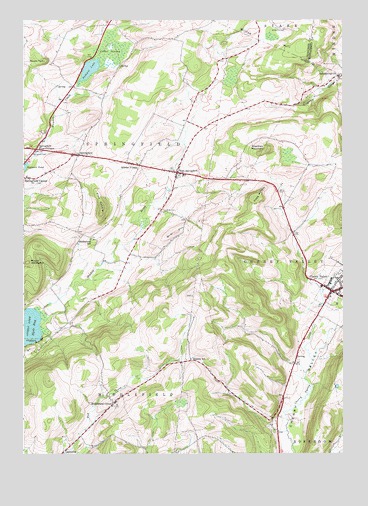 East Springfield, NY USGS Topographic Map