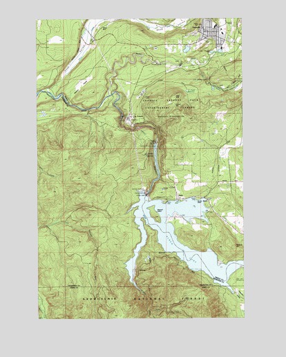 Eatonville, WA USGS Topographic Map