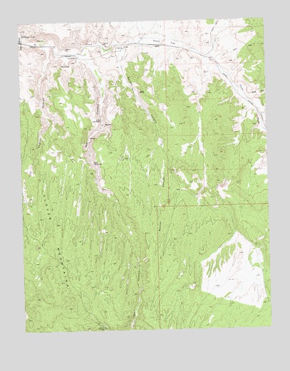 Eccles, NV USGS Topographic Map