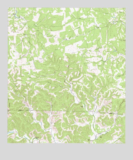 Echo Hill Ranch, TX USGS Topographic Map