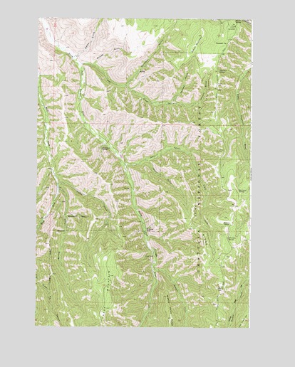 Eckler Mountain, WA USGS Topographic Map