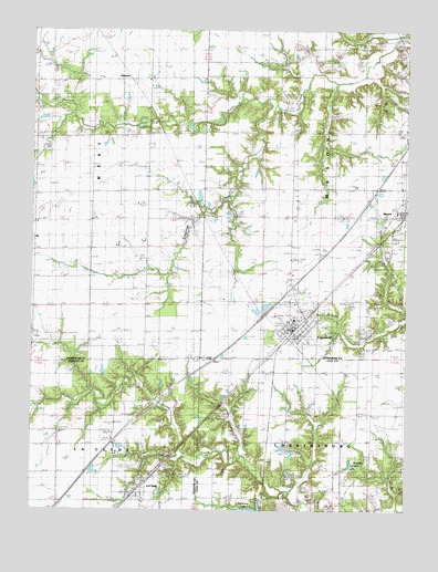 Edgewood, IL USGS Topographic Map