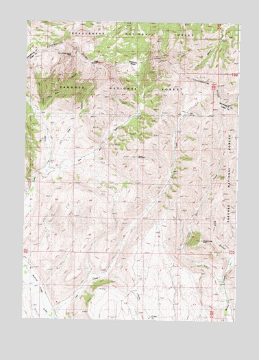 Edie Creek, ID USGS Topographic Map