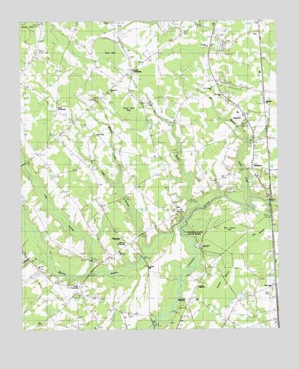 Effingham, SC USGS Topographic Map