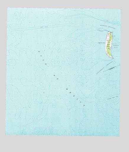Egmont Key, FL USGS Topographic Map