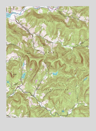 Arena, NY USGS Topographic Map