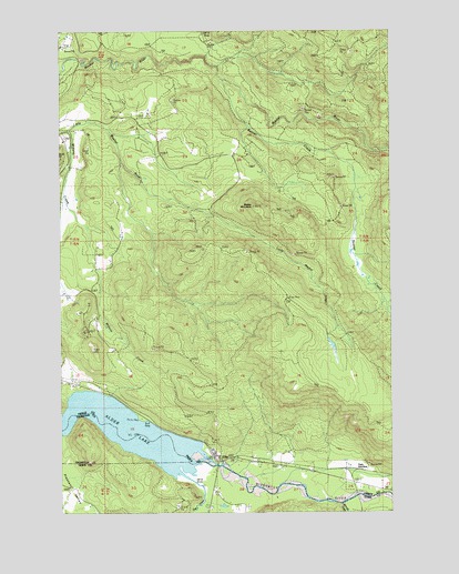 Elbe, WA USGS Topographic Map