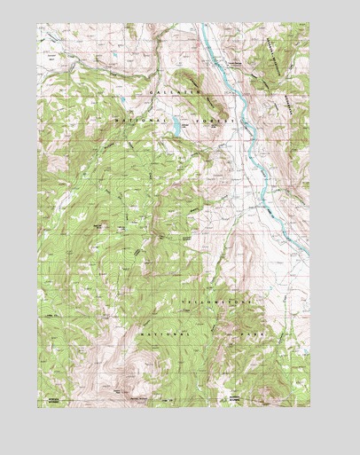 Electric Peak, MT USGS Topographic Map