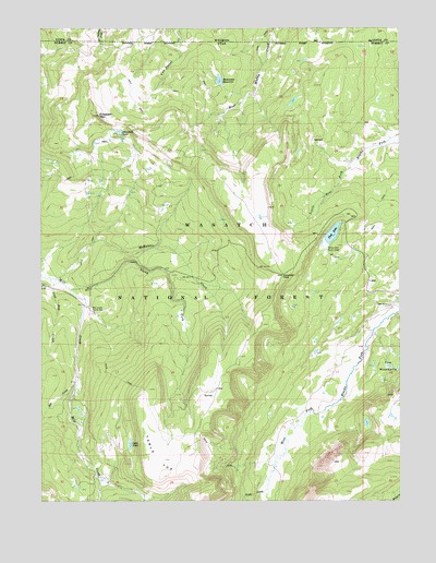 Elizabeth Mountain, UT USGS Topographic Map