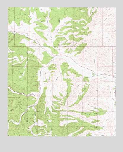 Elk, NM USGS Topographic Map