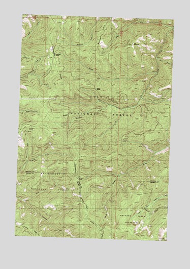 Elk Mountain, MT USGS Topographic Map