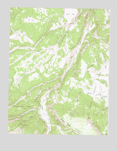 Elk Park, CO USGS Topographic Map