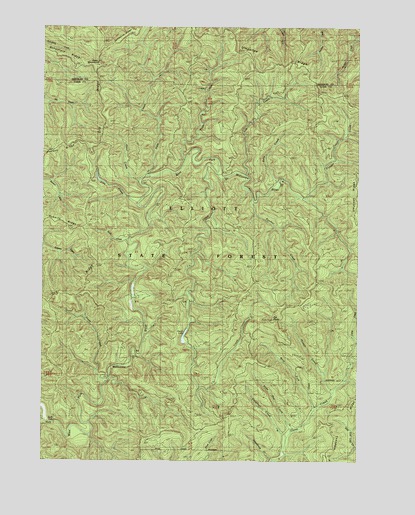 Elk Peak, OR USGS Topographic Map
