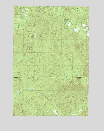 Elkhorn Creek, WA USGS Topographic Map