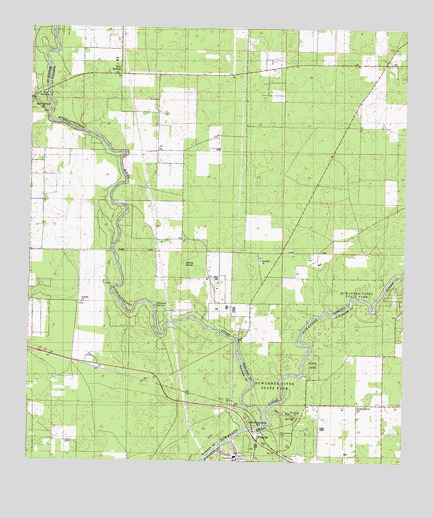 Ellaville, FL USGS Topographic Map