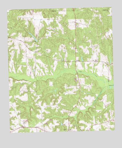 Ellaville North, GA USGS Topographic Map