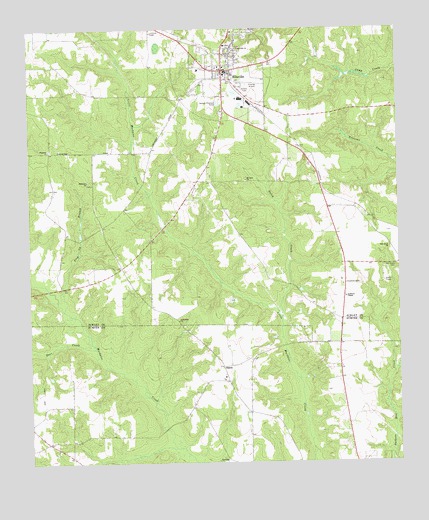 Ellaville South, GA USGS Topographic Map