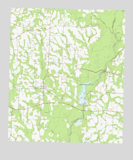 Ellenton, GA USGS Topographic Map