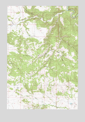 Ellis Canyon, MT USGS Topographic Map