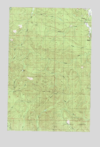 Ellis Mountain, WA USGS Topographic Map