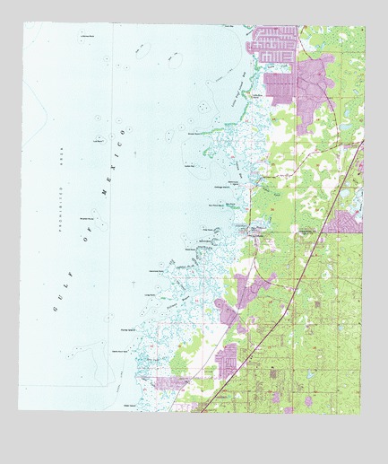 Aripeka, FL USGS Topographic Map