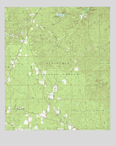 Elmer, LA USGS Topographic Map