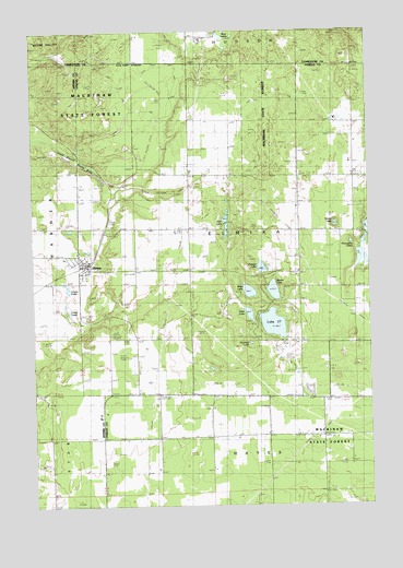 Elmira, MI USGS Topographic Map