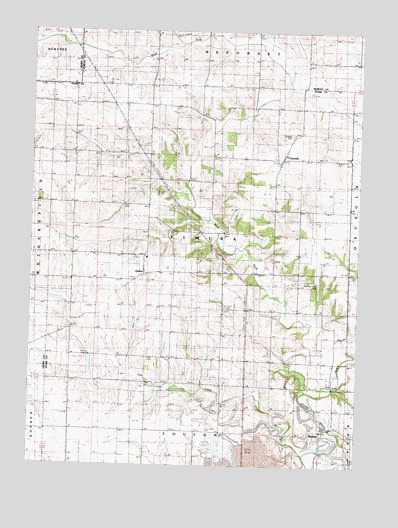 Elmira, IL USGS Topographic Map