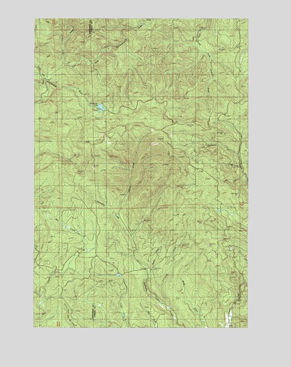 Elochoman Lake, WA USGS Topographic Map