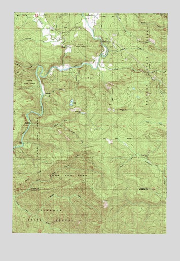 Elsie, OR USGS Topographic Map