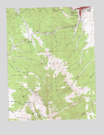 Ely, NV USGS Topographic Map
