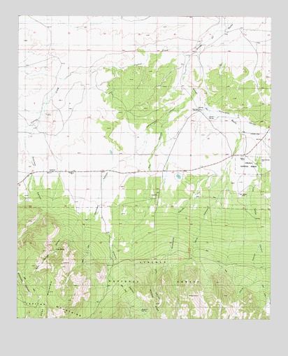 Encinoso, NM USGS Topographic Map