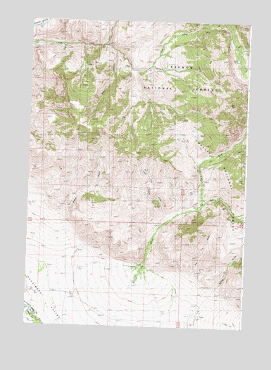 Ennis Gulch, ID USGS Topographic Map