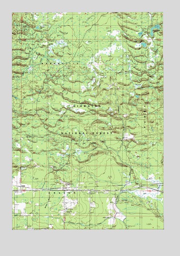 Ensign, MI USGS Topographic Map