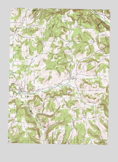 Erin, NY USGS Topographic Map