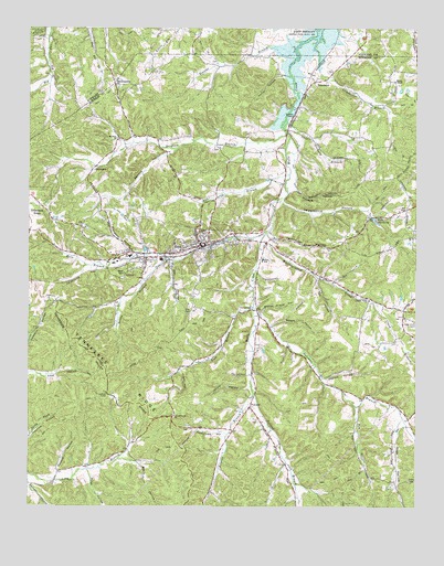 Erin, TN USGS Topographic Map