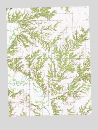 Erwin, IL USGS Topographic Map