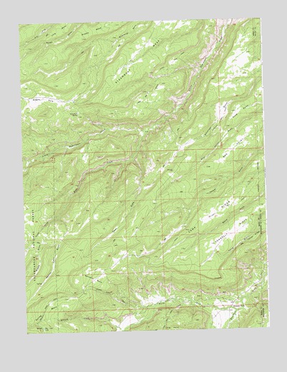 Escalante Forks, CO USGS Topographic Map