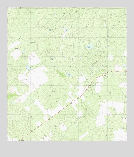 Escobas, TX USGS Topographic Map