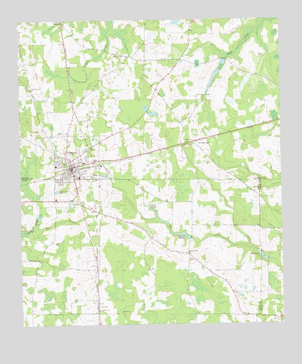Arlington, GA USGS Topographic Map