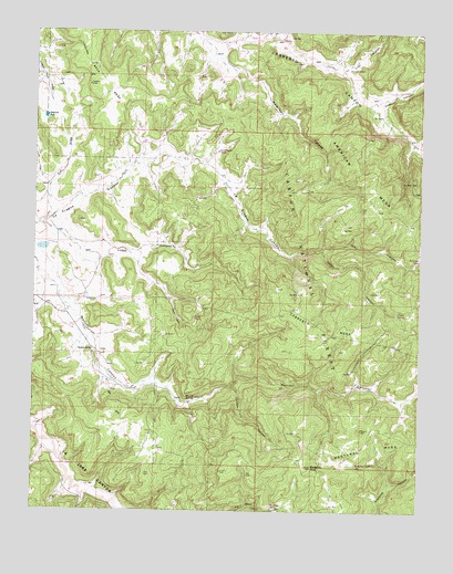 Espinosa Ranch, NM USGS Topographic Map