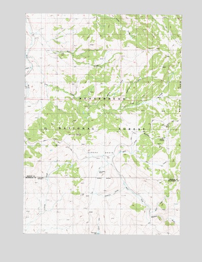 Eureka Basin, MT USGS Topographic Map