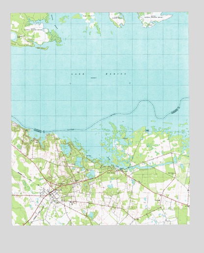 Eutawville, SC USGS Topographic Map