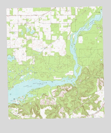 Faceville, GA USGS Topographic Map