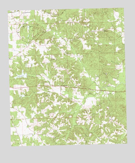 Fair Oak Springs, MS USGS Topographic Map