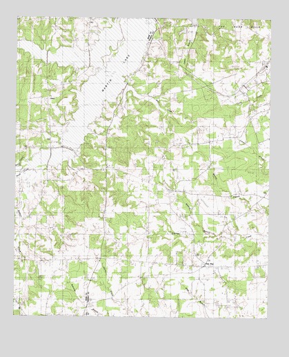 Fair Play, TX USGS Topographic Map