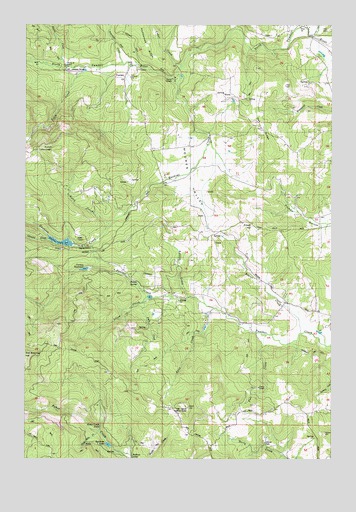 Fairdale, OR USGS Topographic Map