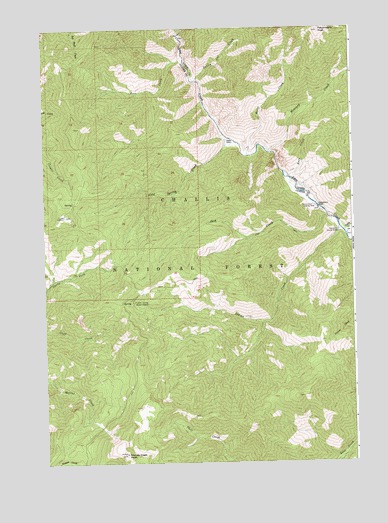 Falconberry Peak, ID USGS Topographic Map
