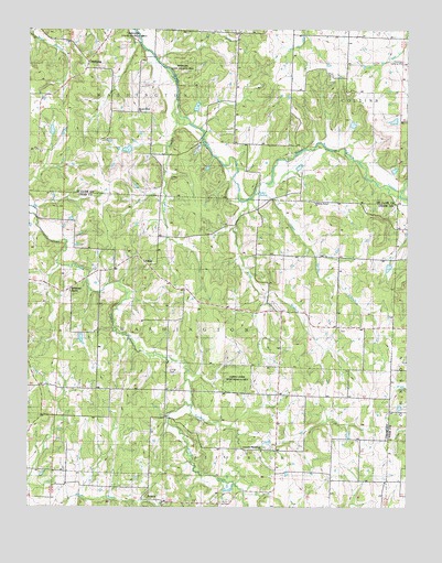 Arnica, MO USGS Topographic Map